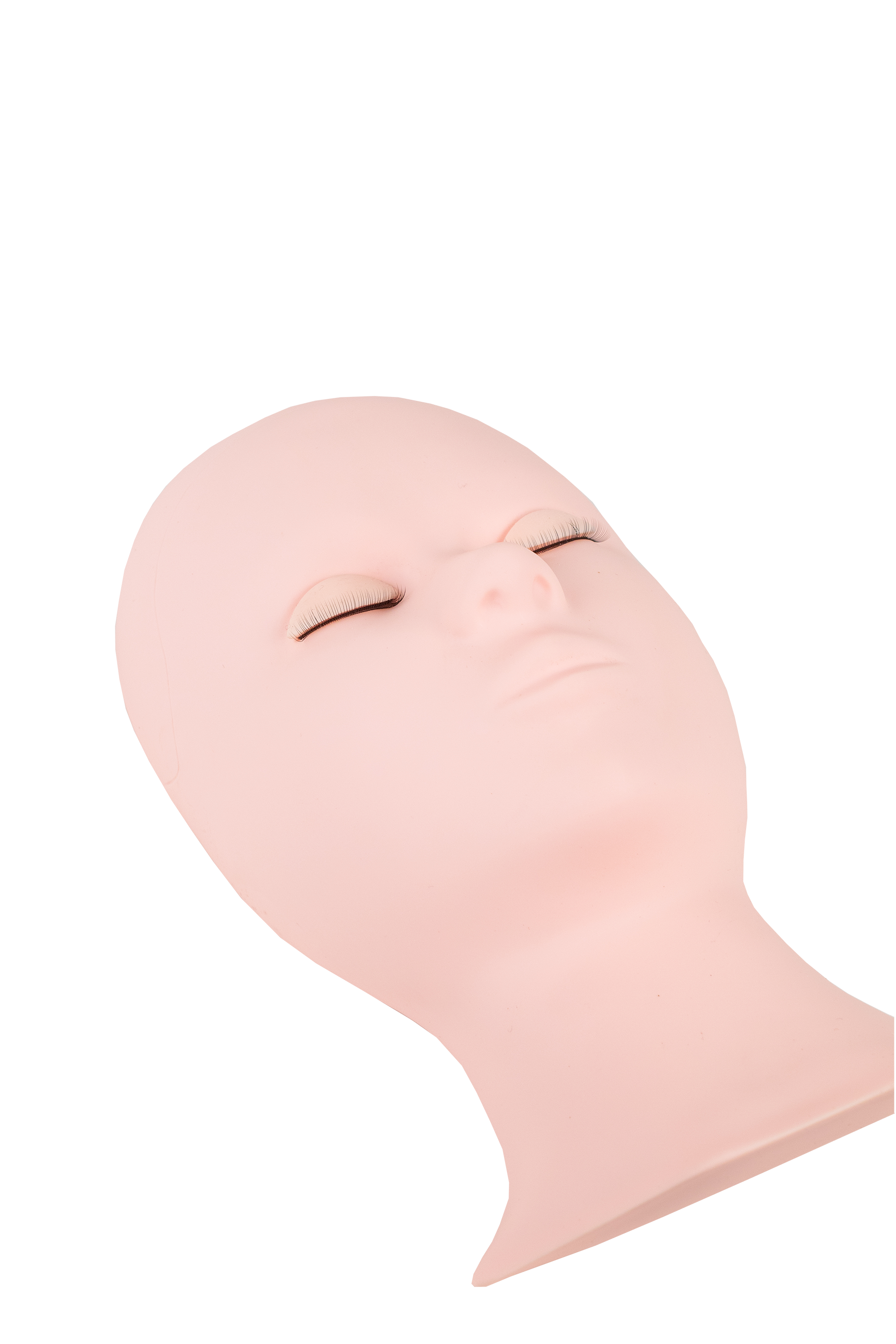 Mannequin Head
