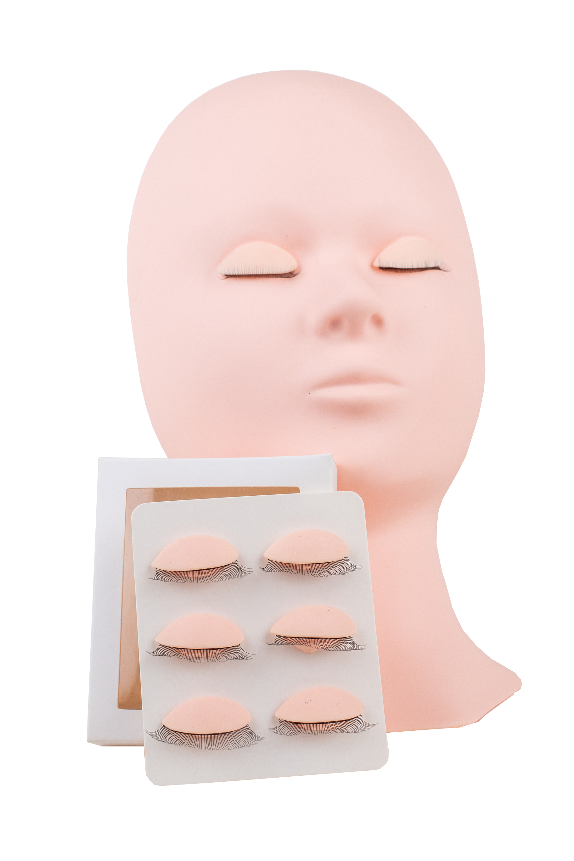 Mannequin Head